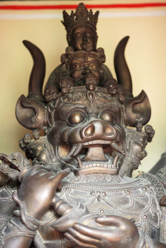 �ʐ^,�f��,����,�t���[,�t�H�g,�N���G�C�e�B�u�E�R�����Y,���i,�ǎ�,�k�C�����@����, , , , 