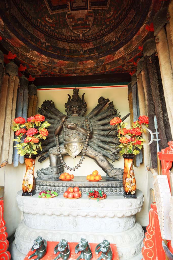 �ʐ^,�f��,����,�t���[,�t�H�g,�N���G�C�e�B�u�E�R�����Y,���i,�ǎ�,�k�C�����@����, , , , 