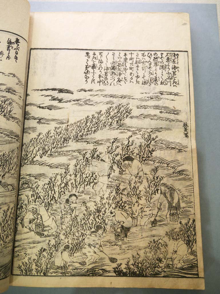 �ʐ^,�f��,����,�t���[,�t�H�g,�N���G�C�e�B�u�E�R�����Y,���i,�ǎ�,�C�ۂ��Ƃ�l�q, , , , 