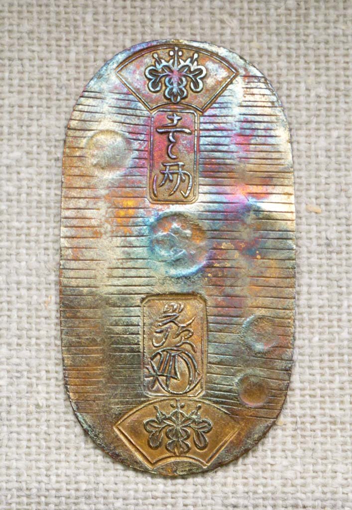 �ʐ^,�f��,����,�t���[,�t�H�g,�N���G�C�e�B�u�E�R�����Y,���i,�ǎ�,����, , , , 