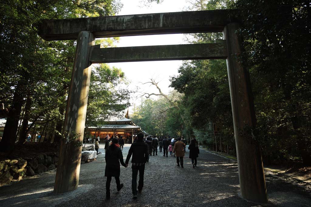 �ʐ^,�f��,����,�t���[,�t�H�g,�N���G�C�e�B�u�E�R�����Y,���i,�ǎ�,�ɐ��_�{ ���{, , , , 