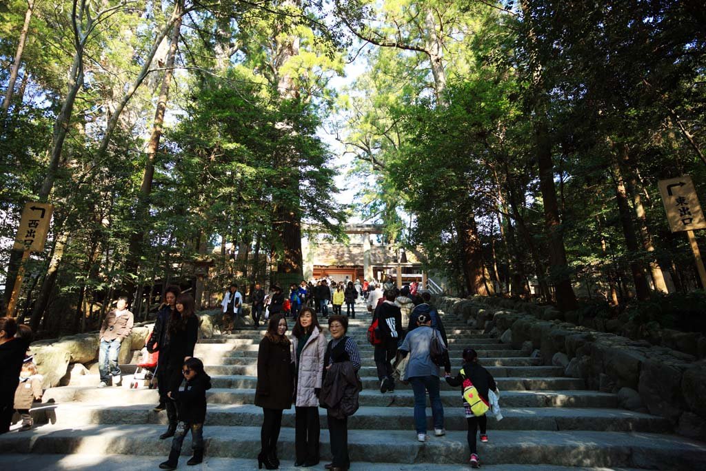 �ʐ^,�f��,����,�t���[,�t�H�g,�N���G�C�e�B�u�E�R�����Y,���i,�ǎ�,�ɐ��_�{ ���{, , , , 