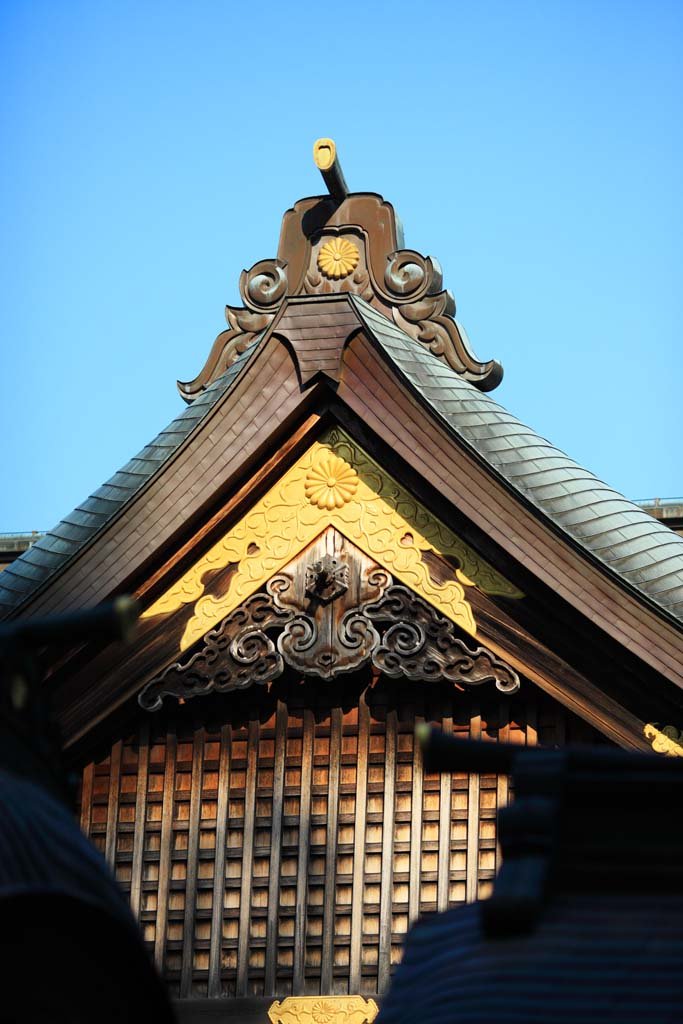 �ʐ^,�f��,����,�t���[,�t�H�g,�N���G�C�e�B�u�E�R�����Y,���i,�ǎ�,�ɐ��_�{ ���{, , , , 