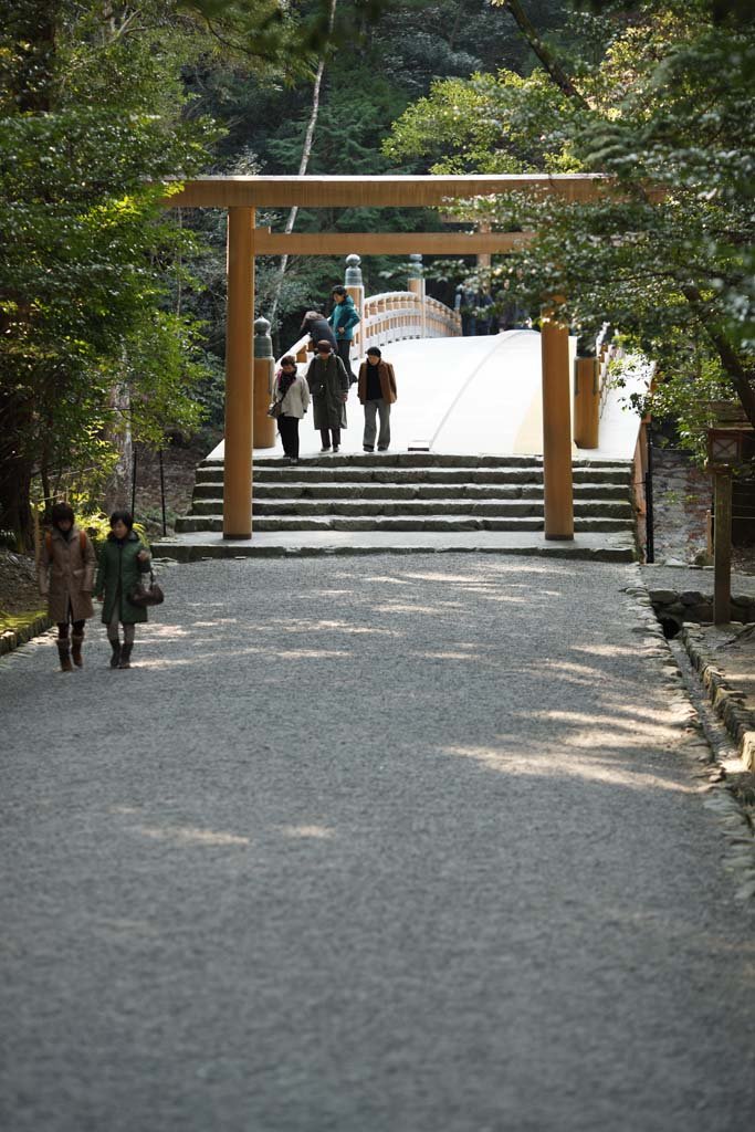 �ʐ^,�f��,����,�t���[,�t�H�g,�N���G�C�e�B�u�E�R�����Y,���i,�ǎ�,�ɐ��_�{ ���{, , , , 