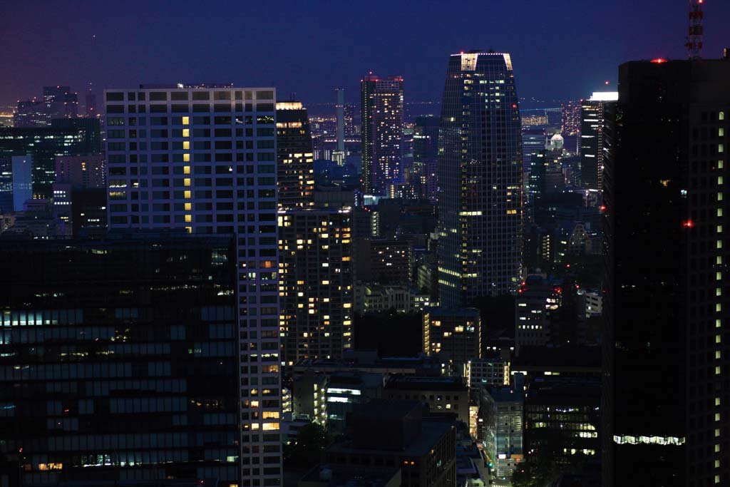 photo,material,free,landscape,picture,stock photo,Creative Commons,Tokyo nightscape, , , , 