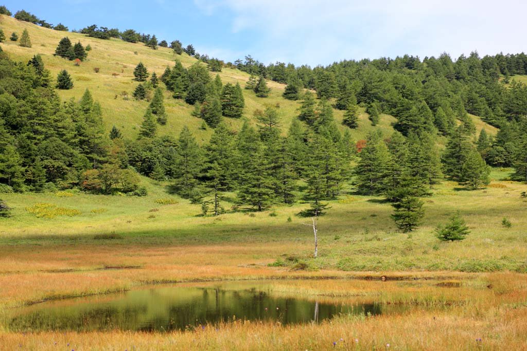 �ʐ^,�f��,����,�t���[,�t�H�g,�N���G�C�e�B�u�E�R�����Y,���i,�ǎ�,�r�̕�����, , , , 