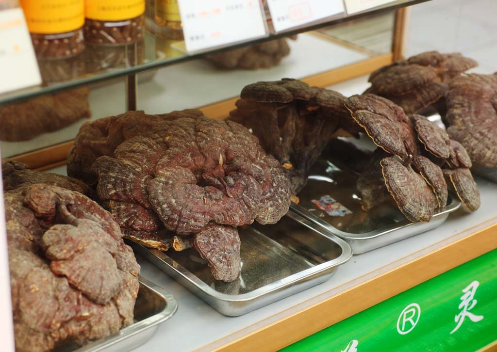 �ʐ^,�f��,����,�t���[,�t�H�g,�N���G�C�e�B�u�E�R�����Y,���i,�ǎ�,������̃L�m�R, , , , 