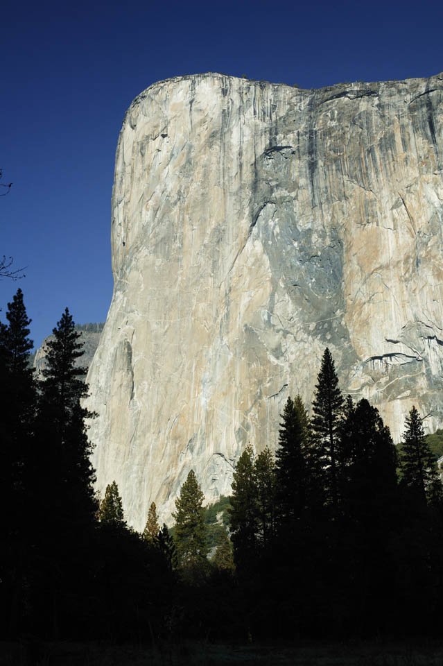 photo,material,free,landscape,picture,stock photo,Creative Commons,El Capitan, cliff, rock, Granite, Rock-climbing