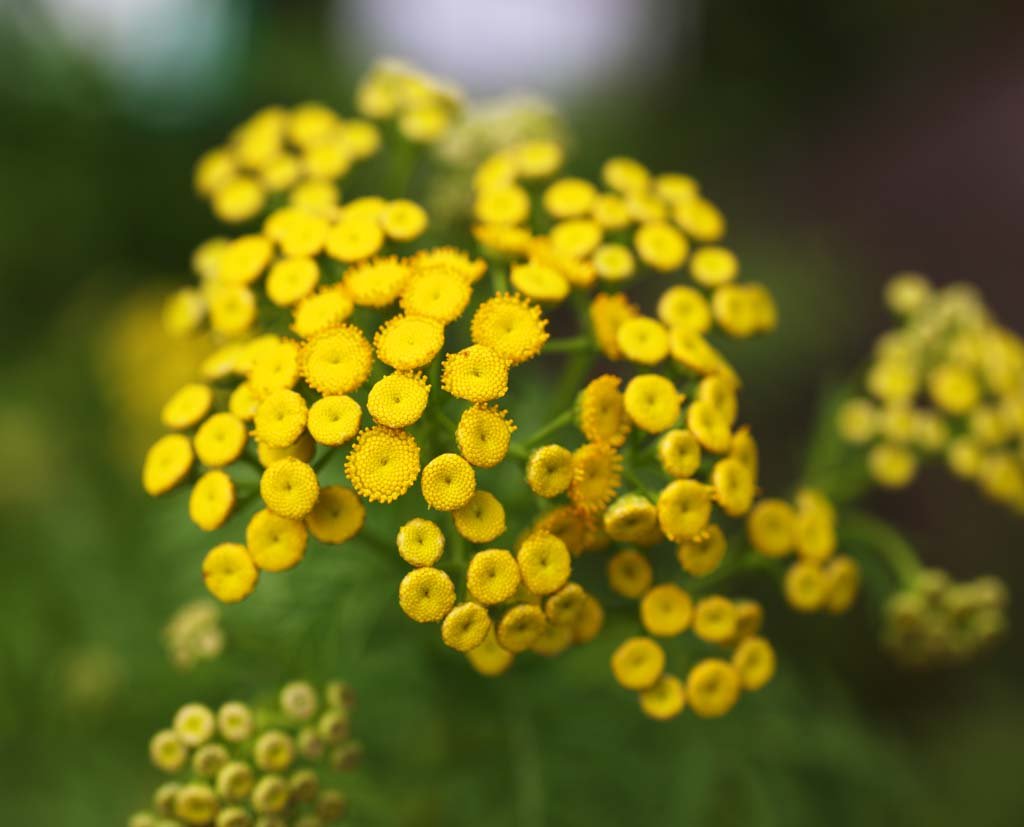 �ʐ^,�f��,����,�t���[,�t�H�g,�N���G�C�e�B�u�E�R�����Y,���i,�ǎ�,�^���W�[, , , , 