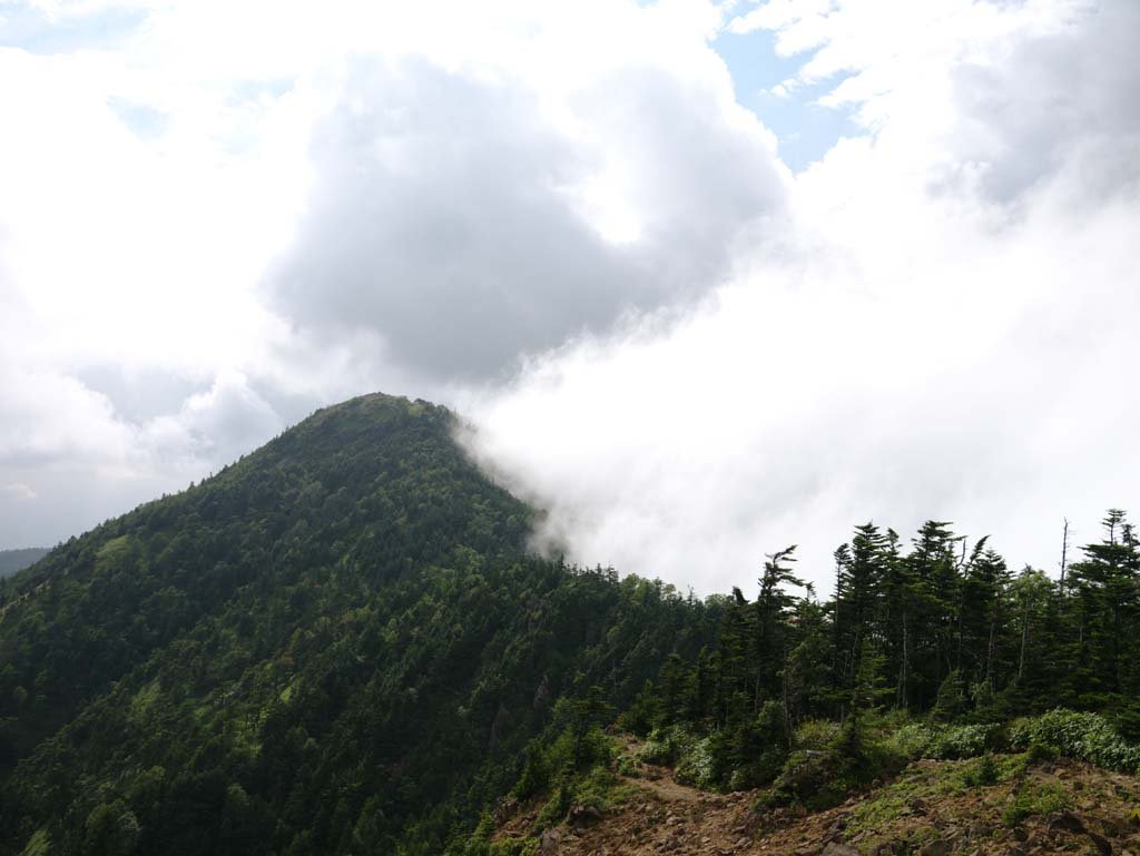 �ʐ^,�f��,����,�t���[,�t�H�g,�N���G�C�e�B�u�E�R�����Y,���i,�ǎ�,�Ő��ɉ_, , , , 