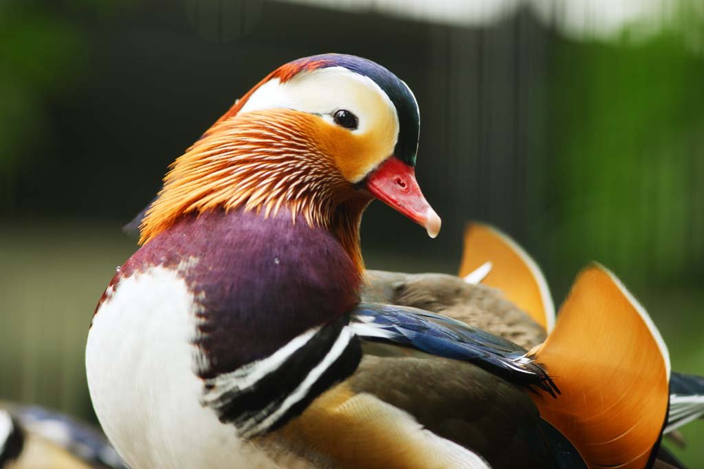 �ʐ^,�f��,����,�t���[,�t�H�g,�N���G�C�e�B�u�E�R�����Y,���i,�ǎ�,�����ǂ�, , , , 