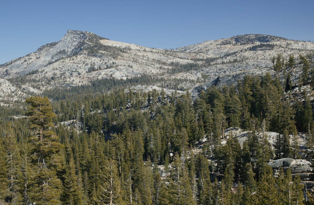 �ʐ^,�f��,����,�t���[,�t�H�g,�N���G�C�e�B�u�E�R�����Y,���i,�ǎ�,���̐X, ��, �ԛ���, �X, ��