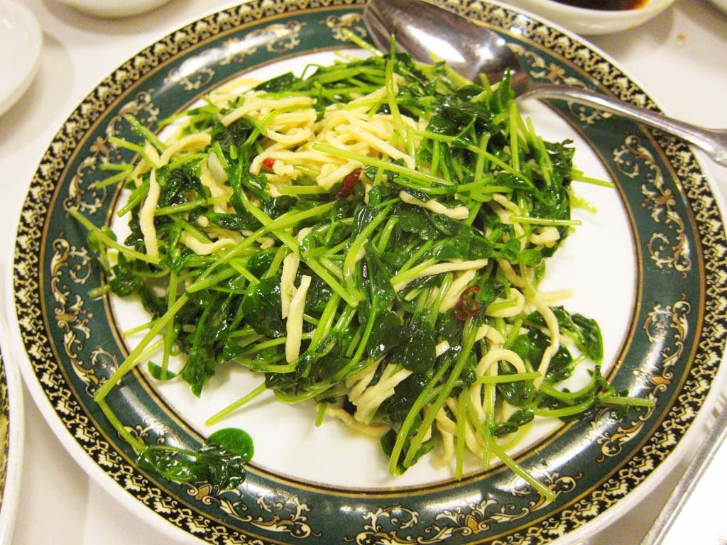 �ʐ^,�f��,����,�t���[,�t�H�g,�N���G�C�e�B�u�E�R�����Y,���i,�ǎ�,������, , , , 