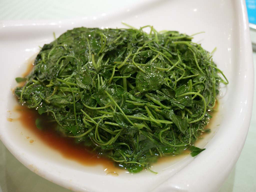 �ʐ^,�f��,����,�t���[,�t�H�g,�N���G�C�e�B�u�E�R�����Y,���i,�ǎ�,���u��, , , , 