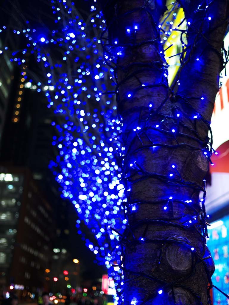 �ʐ^,�f��,����,�t���[,�t�H�g,�N���G�C�e�B�u�E�R�����Y,���i,�ǎ�,�C���~�l�[�V����, , , , 