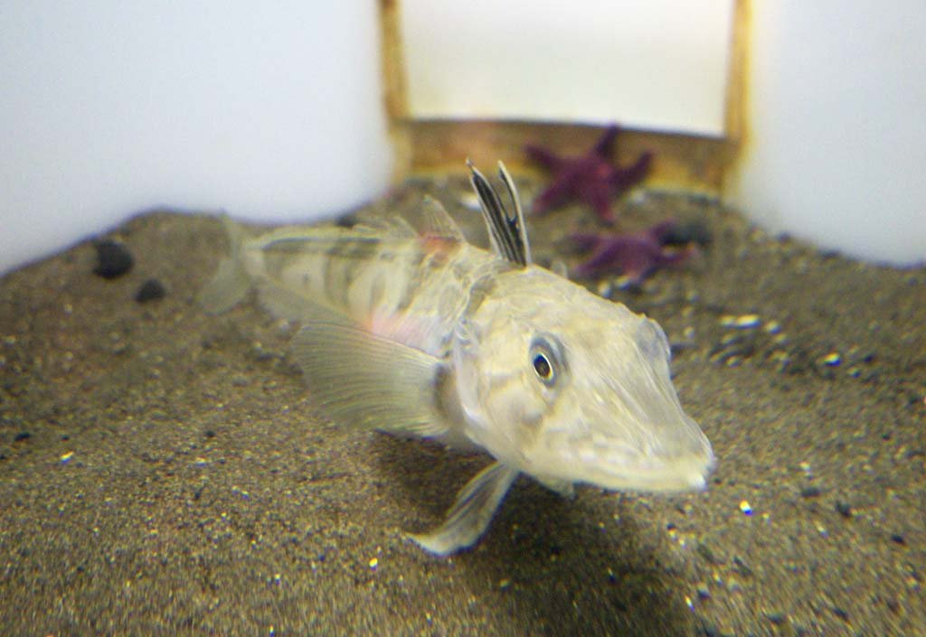 �ʐ^,�f��,����,�t���[,�t�H�g,�N���G�C�e�B�u�E�R�����Y,���i,�ǎ�,�z�E�{�E, , , , 