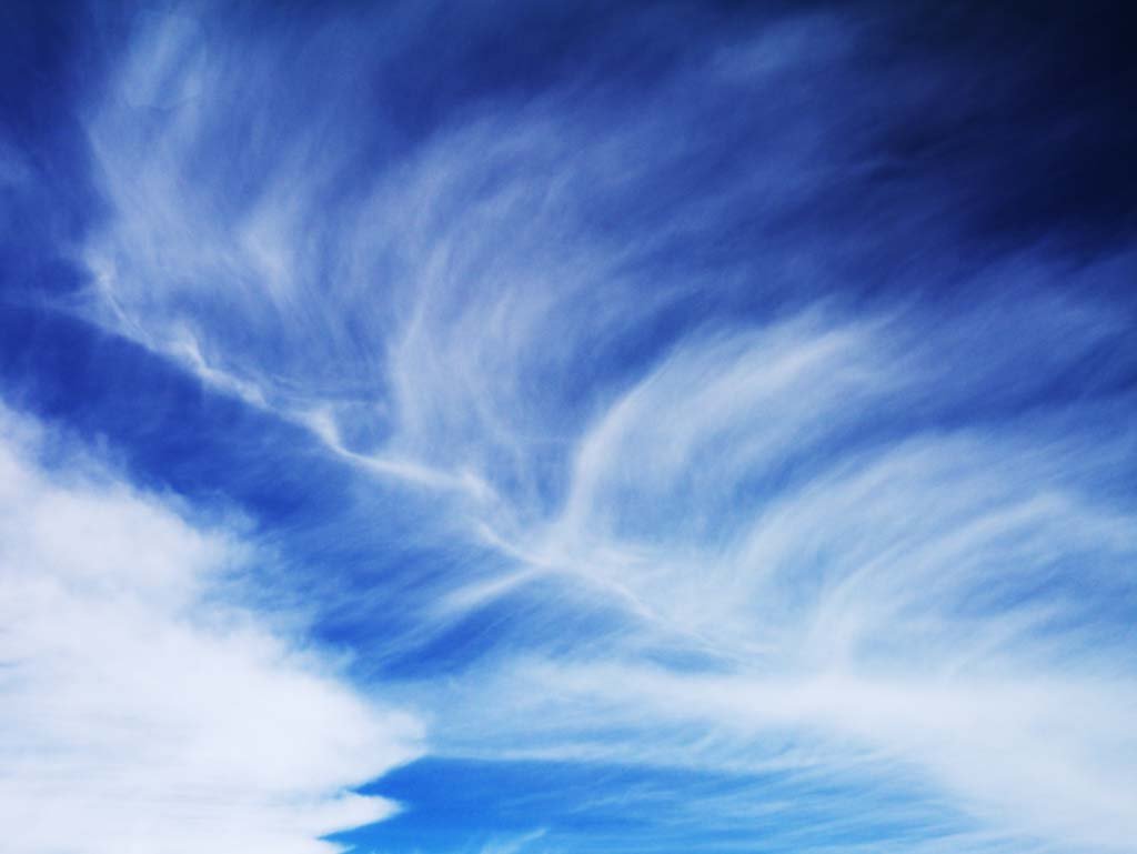 �ʐ^,�f��,����,�t���[,�t�H�g,�N���G�C�e�B�u�E�R�����Y,���i,�ǎ�,�����_, , , , 