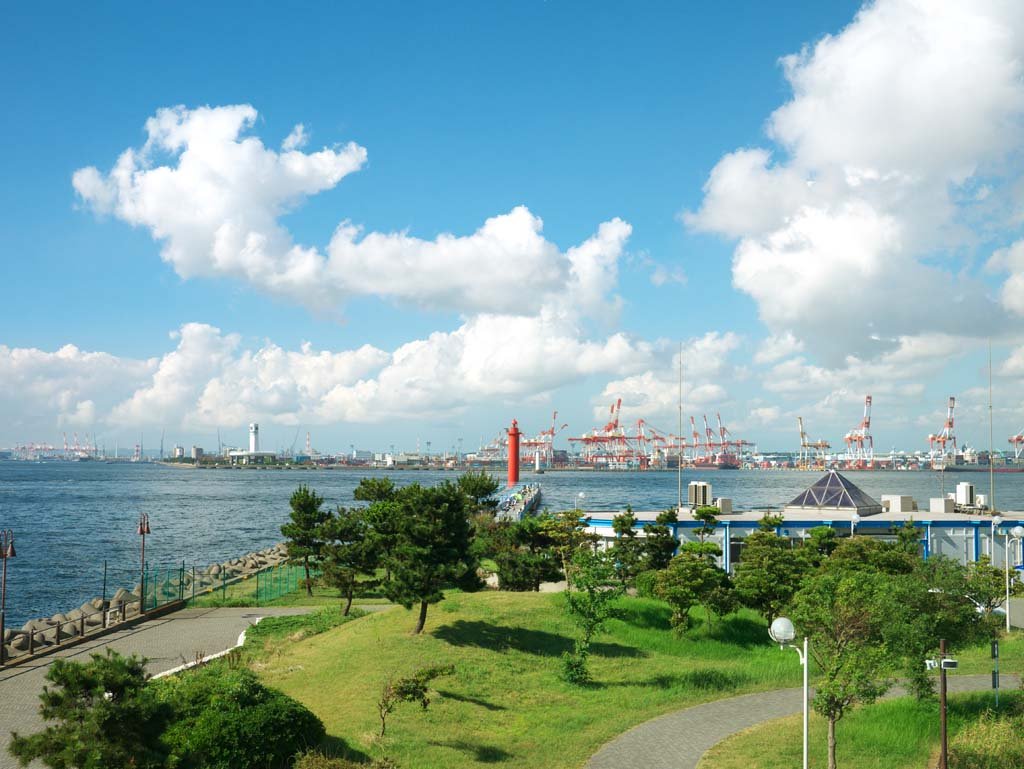 �ʐ^,�f��,����,�t���[,�t�H�g,�N���G�C�e�B�u�E�R�����Y,���i,�ǎ�,���l, , , , 