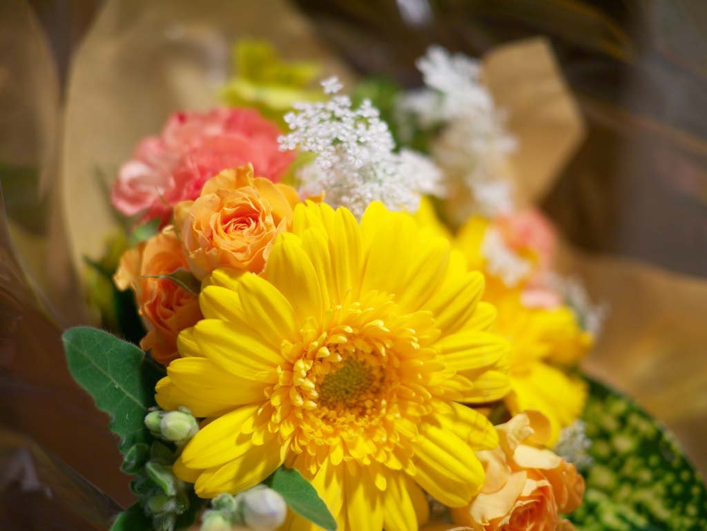 �ʐ^,�f��,����,�t���[,�t�H�g,�N���G�C�e�B�u�E�R�����Y,���i,�ǎ�,�ԑ�, , , , 