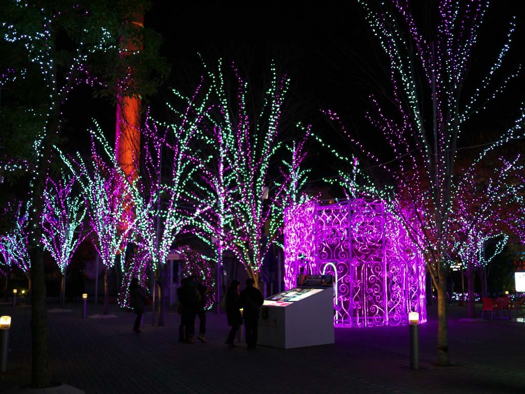 �ʐ^,�f��,����,�t���[,�t�H�g,�N���G�C�e�B�u�E�R�����Y,���i,�ǎ�,���̗�, , , , 