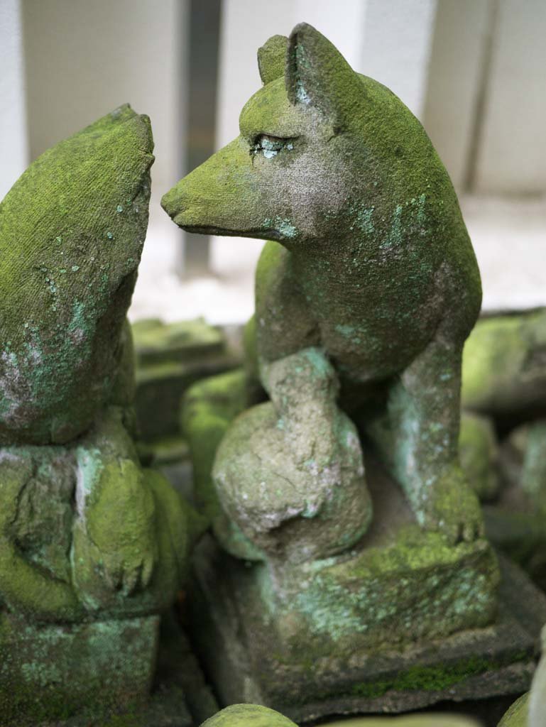 �ʐ^,�f��,����,�t���[,�t�H�g,�N���G�C�e�B�u�E�R�����Y,���i,�ǎ�,�L�c�l�̑�, , , , 