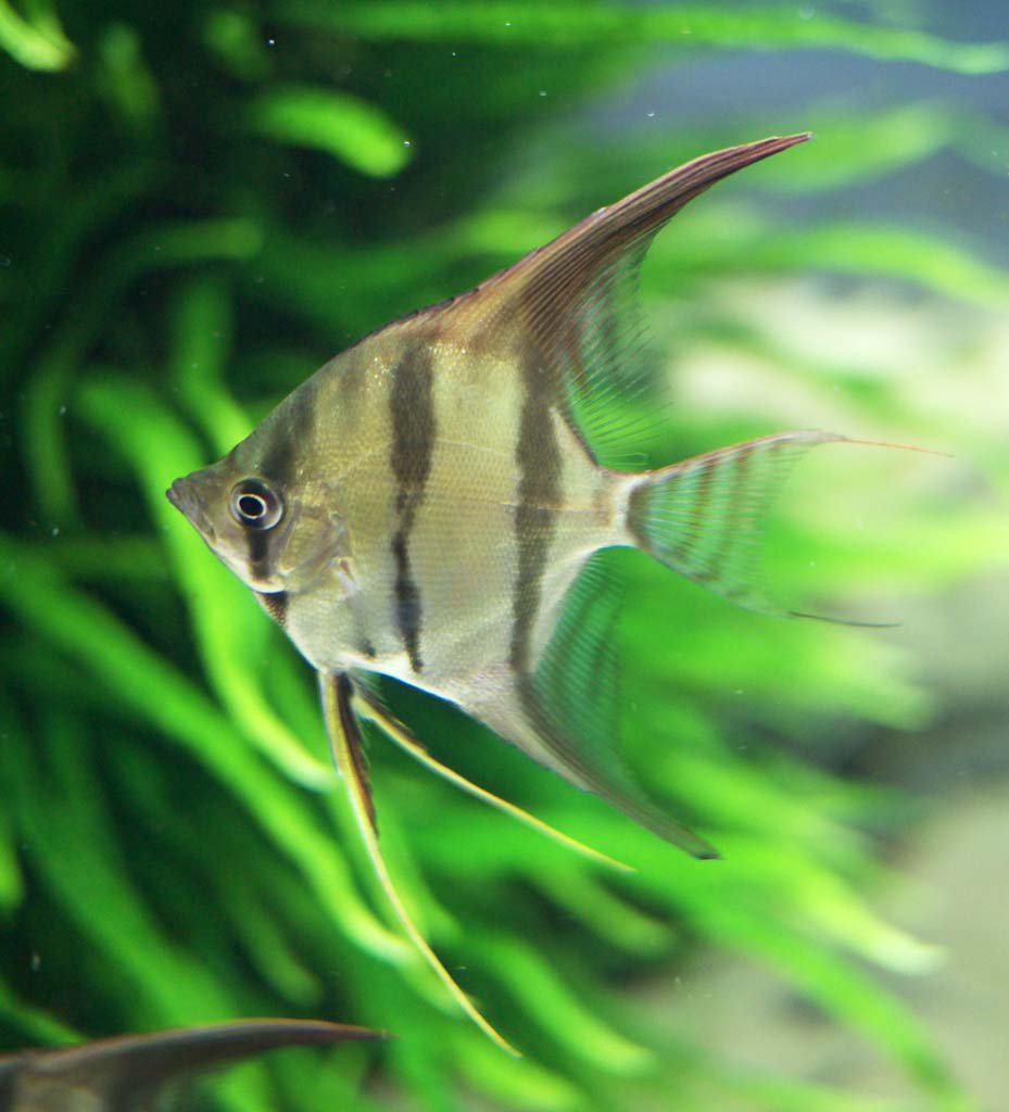 �ʐ^,�f��,����,�t���[,�t�H�g,�N���G�C�e�B�u�E�R�����Y,���i,�ǎ�,�G���[���t�B�b�V��, , , , 