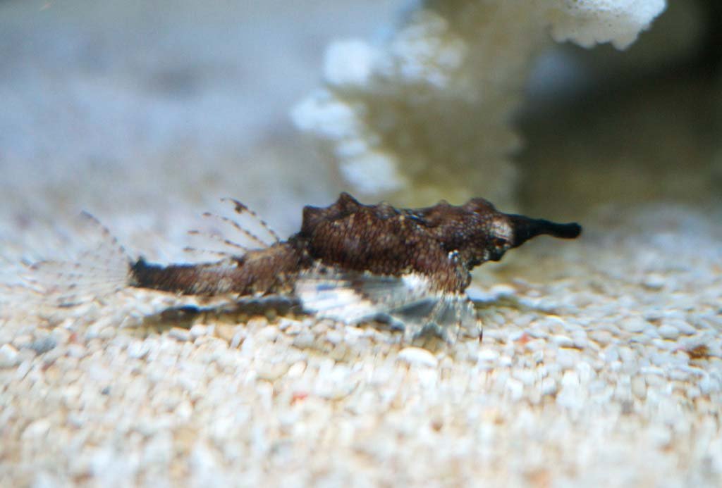 �ʐ^,�f��,����,�t���[,�t�H�g,�N���G�C�e�B�u�E�R�����Y,���i,�ǎ�,�E�~�e���O, , , , 