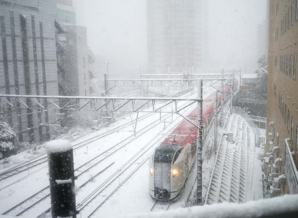 photo,material,free,landscape,picture,stock photo,Creative Commons,Narita Express, , , , 