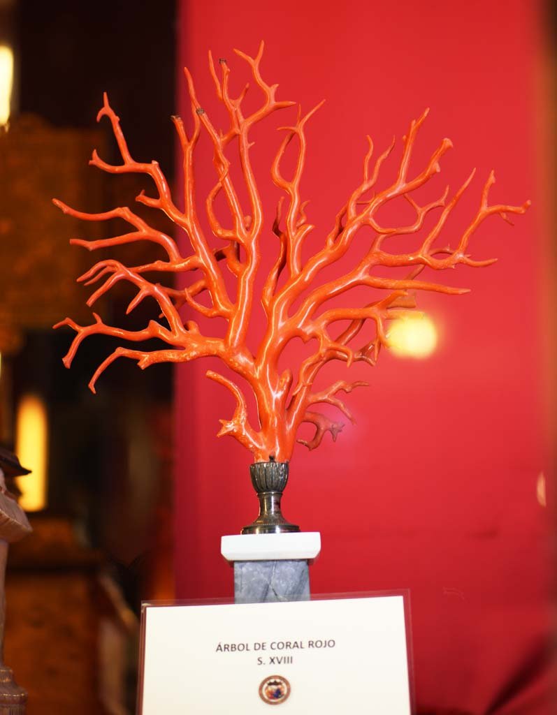 �ʐ^,�f��,����,�t���[,�t�H�g,�N���G�C�e�B�u�E�R�����Y,���i,�ǎ�,�T���^�E�}���A�E�f�E�g���h�吹��, , , , 