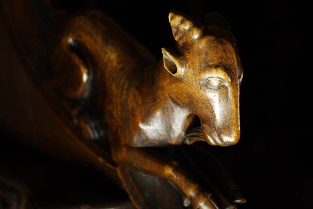 �ʐ^,�f��,����,�t���[,�t�H�g,�N���G�C�e�B�u�E�R�����Y,���i,�ǎ�,�T���^�E�}���A�E�f�E�g���h�吹��, , , , 