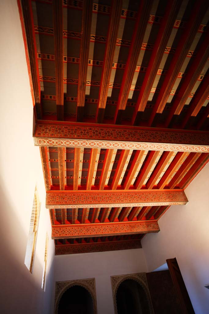 �ʐ^,�f��,����,�t���[,�t�H�g,�N���G�C�e�B�u�E�R�����Y,���i,�ǎ�,�A���n���u���{�a�@���X�A�[�����{, , , , 