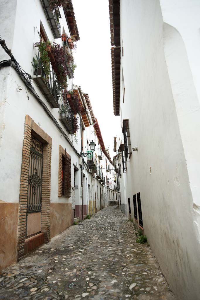 �ʐ^,�f��,����,�t���[,�t�H�g,�N���G�C�e�B�u�E�R�����Y,���i,�ǎ�,�A���o�C�V��, , , , 