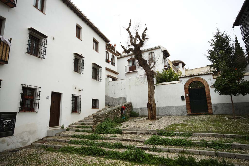 �ʐ^,�f��,����,�t���[,�t�H�g,�N���G�C�e�B�u�E�R�����Y,���i,�ǎ�,�A���o�C�V��, , , , 