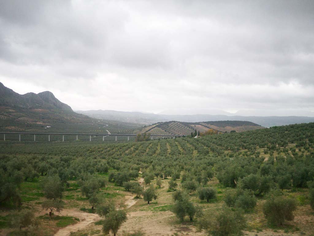 �ʐ^,�f��,����,�t���[,�t�H�g,�N���G�C�e�B�u�E�R�����Y,���i,�ǎ�,�ԑ��̕��i, , , , 