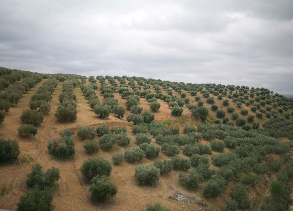 �ʐ^,�f��,����,�t���[,�t�H�g,�N���G�C�e�B�u�E�R�����Y,���i,�ǎ�,�ԑ��̕��i, , , , 