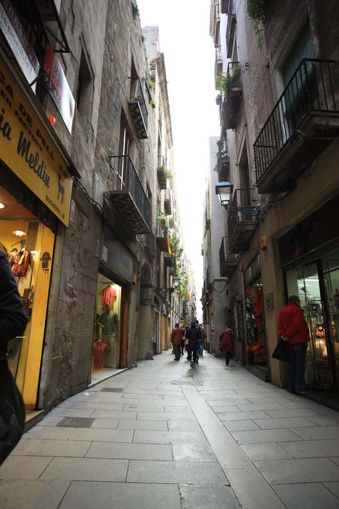 �ʐ^,�f��,����,�t���[,�t�H�g,�N���G�C�e�B�u�E�R�����Y,���i,�ǎ�,�o���Z���i, , , , 