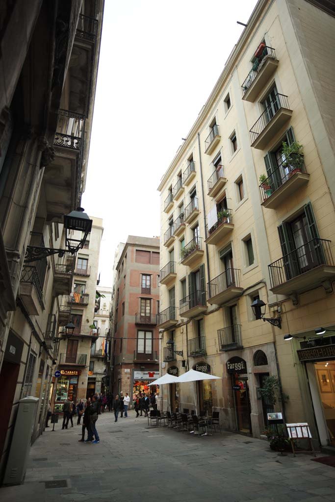 �ʐ^,�f��,����,�t���[,�t�H�g,�N���G�C�e�B�u�E�R�����Y,���i,�ǎ�,�o���Z���i, , , , 