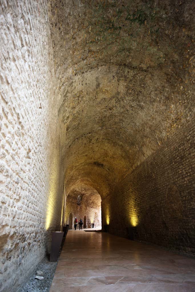 �ʐ^,�f��,����,�t���[,�t�H�g,�N���G�C�e�B�u�E�R�����Y,���i,�ǎ�,�V���N�E���[�}, , , , 