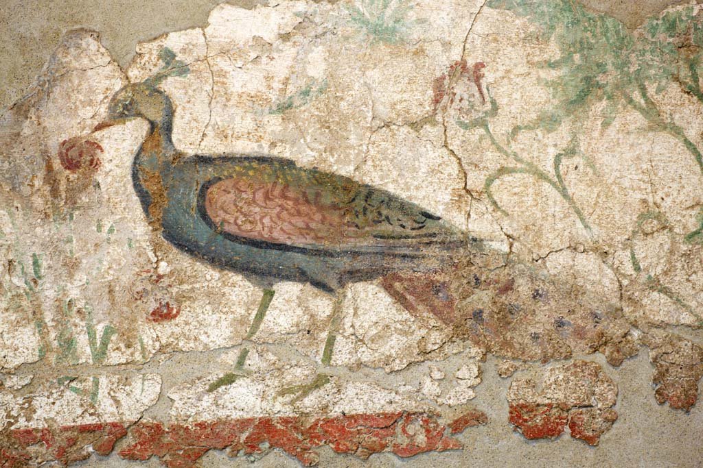 �ʐ^,�f��,����,�t���[,�t�H�g,�N���G�C�e�B�u�E�R�����Y,���i,�ǎ�,�N�W���N�̕ǉ�, , , , 