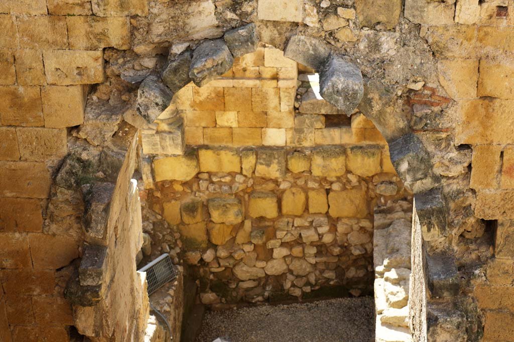 �ʐ^,�f��,����,�t���[,�t�H�g,�N���G�C�e�B�u�E�R�����Y,���i,�ǎ�,�~�`���Z��, , , , 