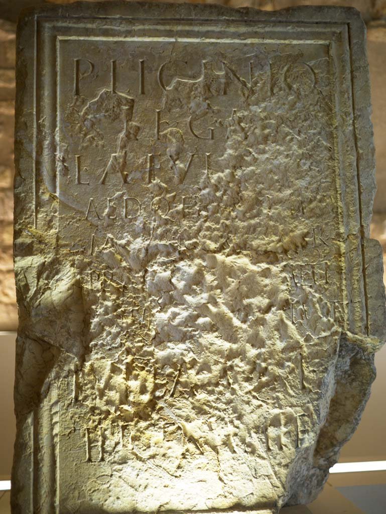 �ʐ^,�f��,����,�t���[,�t�H�g,�N���G�C�e�B�u�E�R�����Y,���i,�ǎ�,�Δ�, , , , 