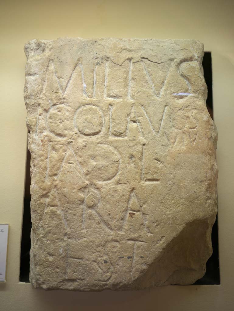 �ʐ^,�f��,����,�t���[,�t�H�g,�N���G�C�e�B�u�E�R�����Y,���i,�ǎ�,���, , , , 