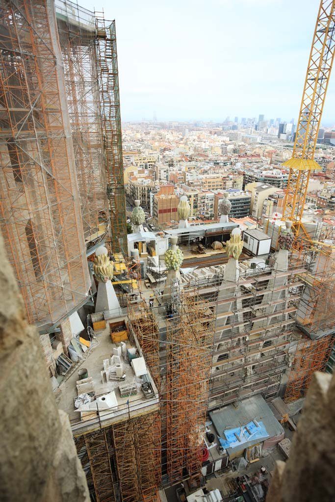 �ʐ^,�f��,����,�t���[,�t�H�g,�N���G�C�e�B�u�E�R�����Y,���i,�ǎ�,�T�O���_�E�t�@�~���A, , , , 