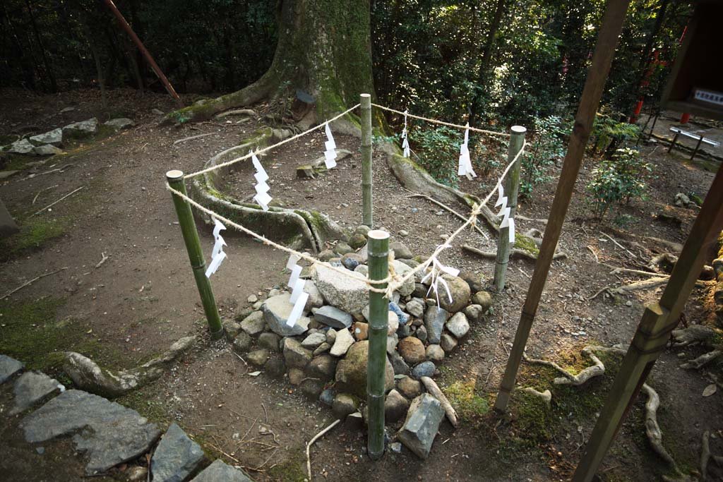 photo,material,free,landscape,picture,stock photo,Creative Commons,Kasuga Taisha Shrine, , , , 