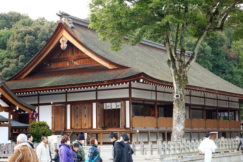 photo,material,free,landscape,picture,stock photo,Creative Commons,Kashihara Jingu Shrine, , , , 