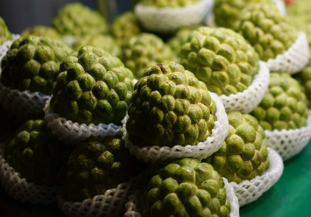 �ʐ^,�f��,����,�t���[,�t�H�g,�N���G�C�e�B�u�E�R�����Y,���i,�ǎ�,�J�Ė�s, , , , 