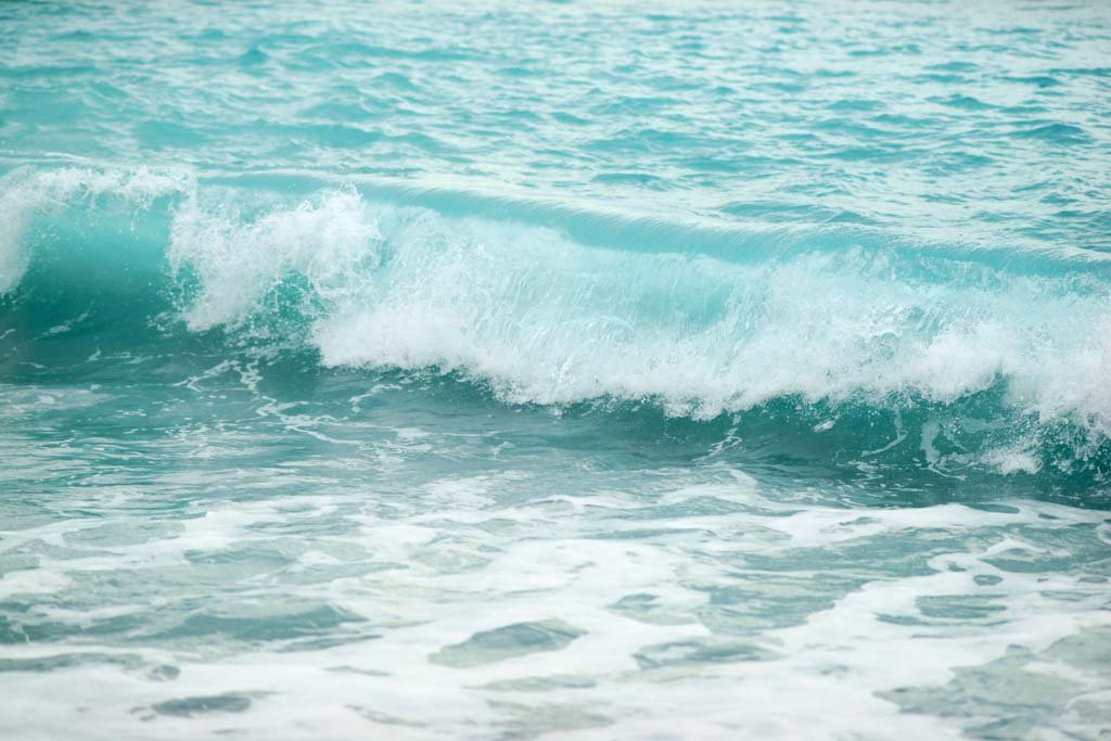 �ʐ^,�f��,����,�t���[,�t�H�g,�N���G�C�e�B�u�E�R�����Y,���i,�ǎ�,���D�t�k�J, , , , 