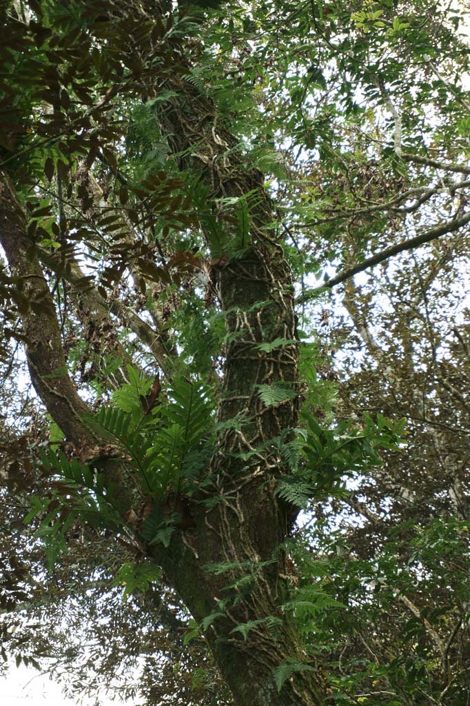 �ʐ^,�f��,����,�t���[,�t�H�g,�N���G�C�e�B�u�E�R�����Y,���i,�ǎ�,�����K, , , , 