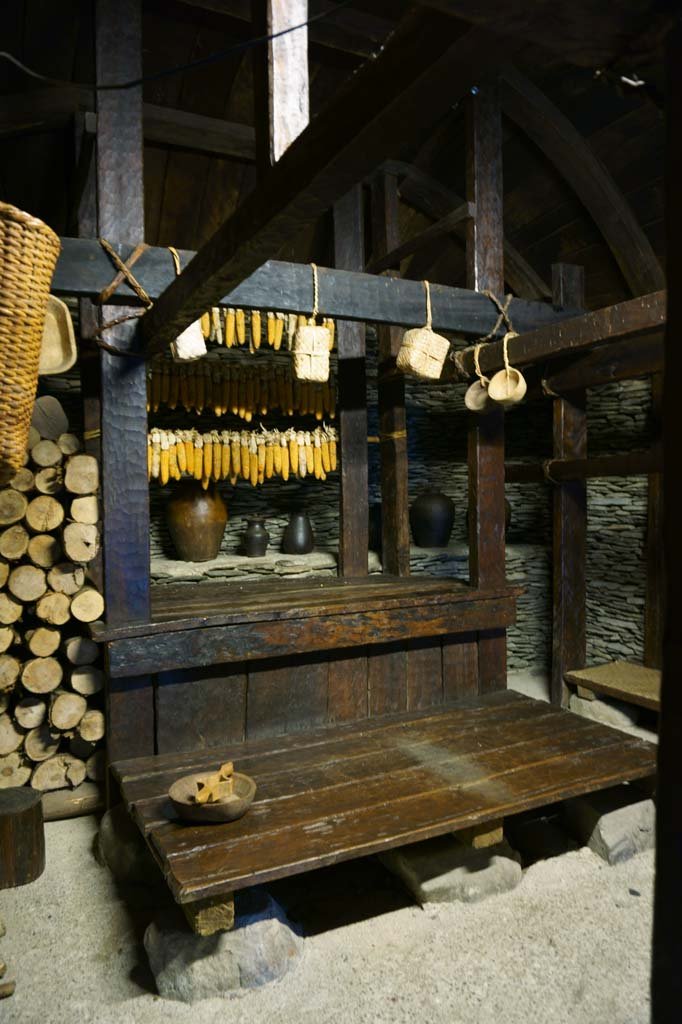 �ʐ^,�f��,����,�t���[,�t�H�g,�N���G�C�e�B�u�E�R�����Y,���i,�ǎ�,�㑰������, , , , 