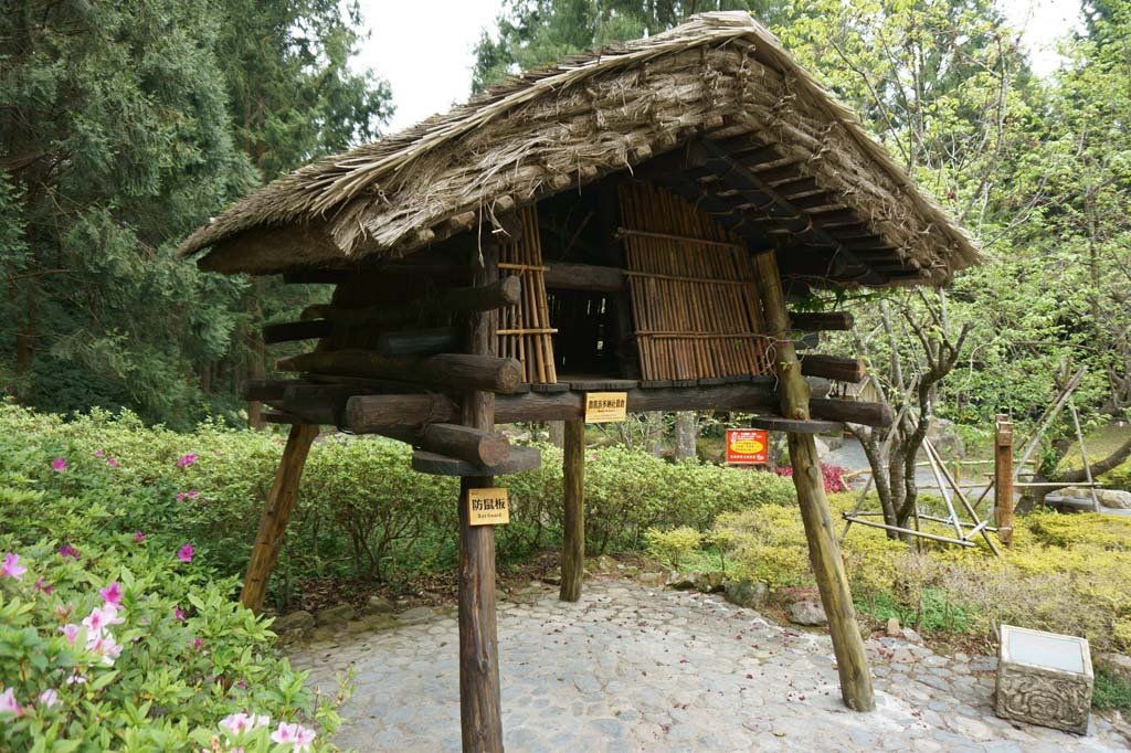 �ʐ^,�f��,����,�t���[,�t�H�g,�N���G�C�e�B�u�E�R�����Y,���i,�ǎ�,�㑰������, , , , 